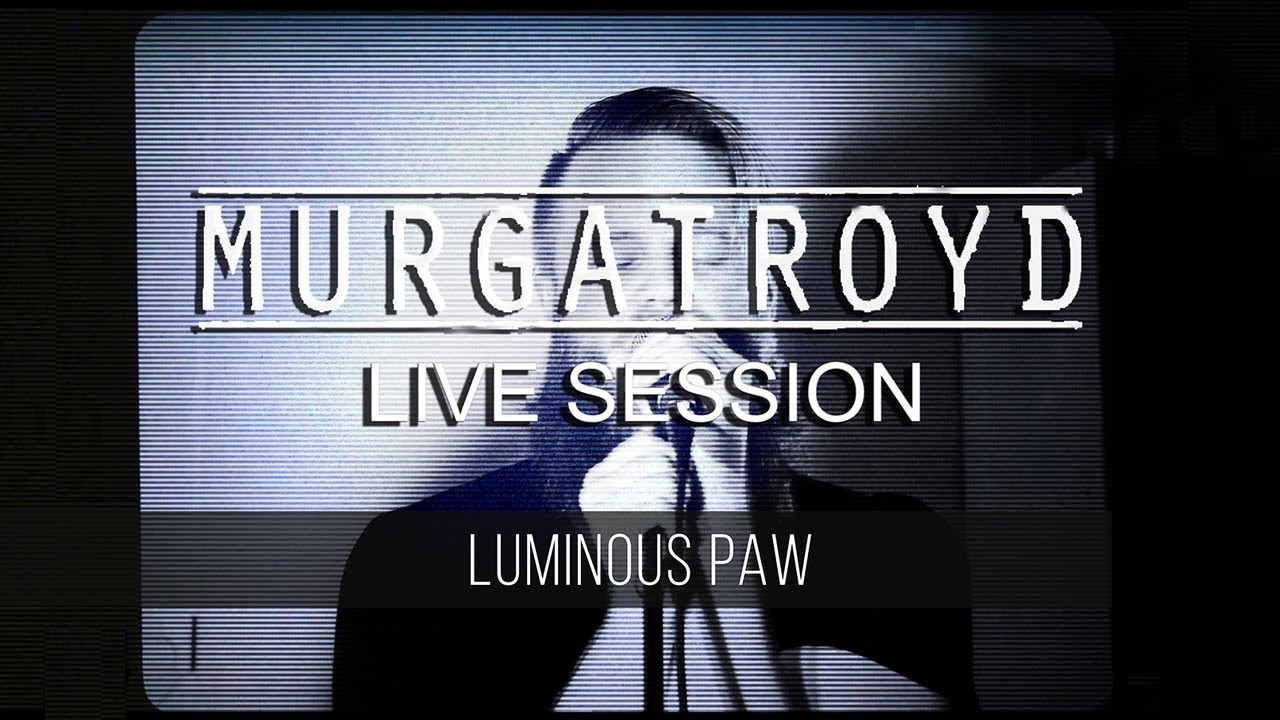 Murgatroyd - Luminous Paw | Live Session