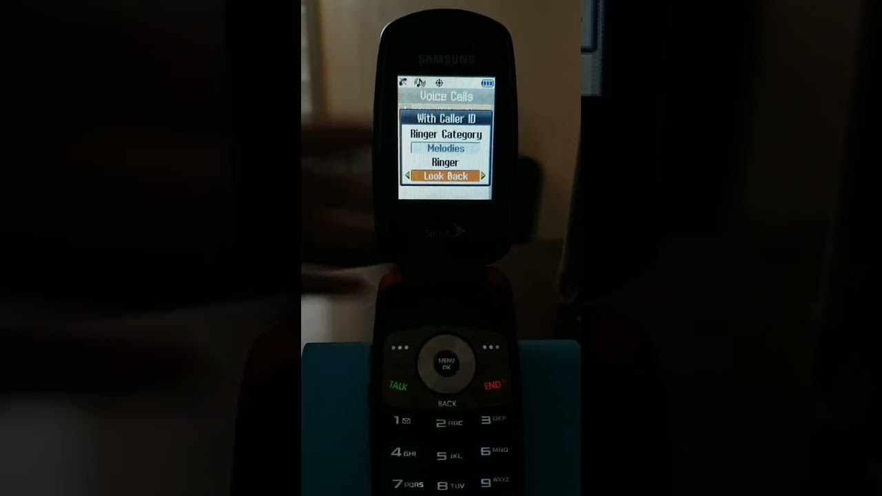 Samsung SPH-M300 ringtones