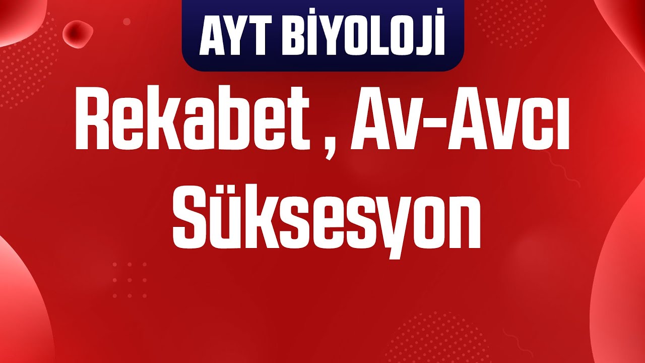 33) Rekabet , Av-Avcı İlişkisi , Süksesyon