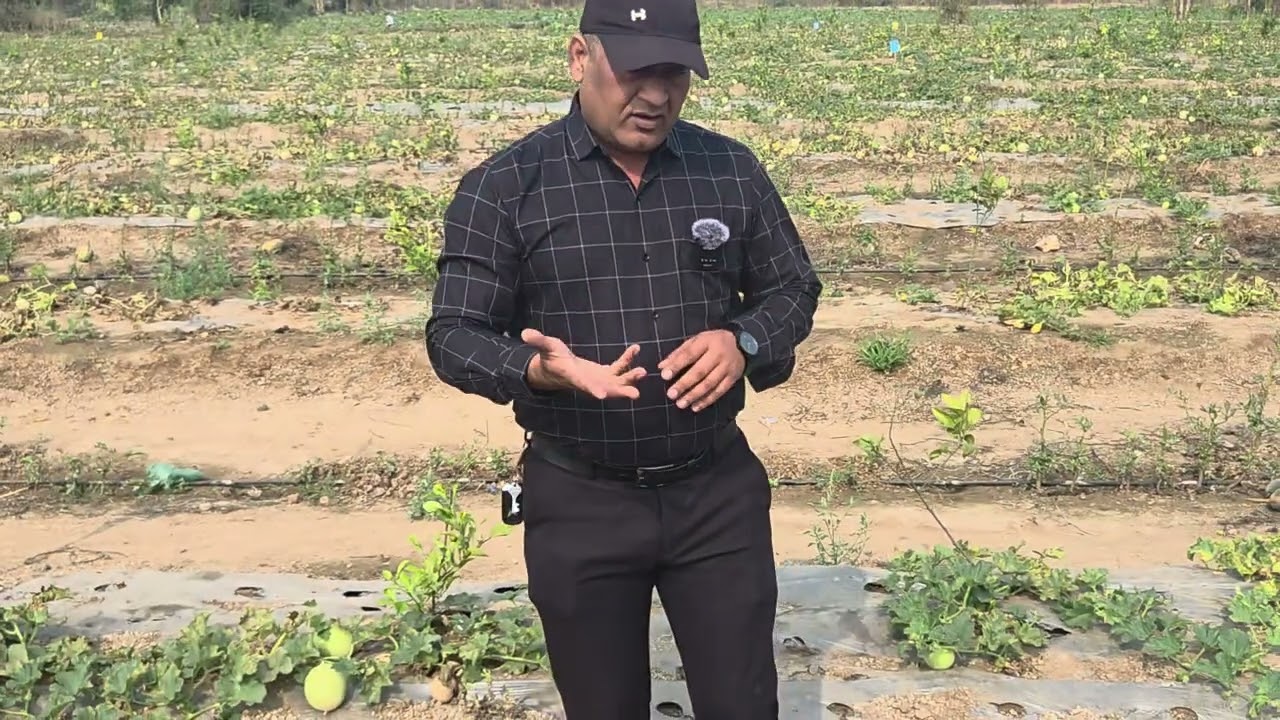 झालेले नुकसान 🥺 प्लॉट no 1🙏 सुमन फार्म 🥺🙏19/02/2026