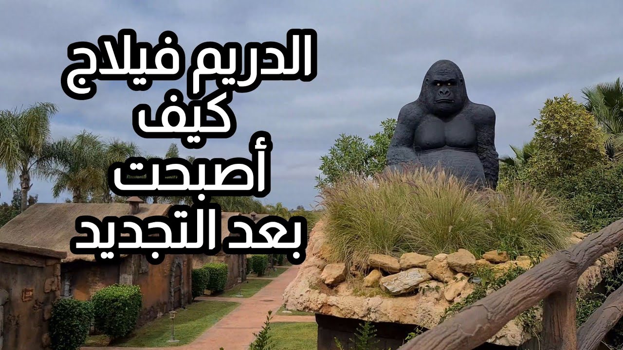 جولة ممتعة في حديقة حيوانات الدريم فيلاج بنواحي المحمدية | عالم الحيوانات عن قرب!