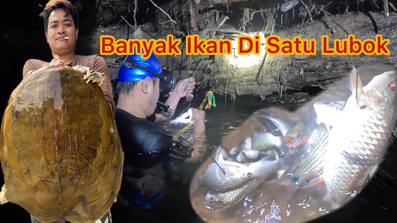 Menembak Ikan,Mencari Katak Dapat Biawak Dan Labi-Labi
