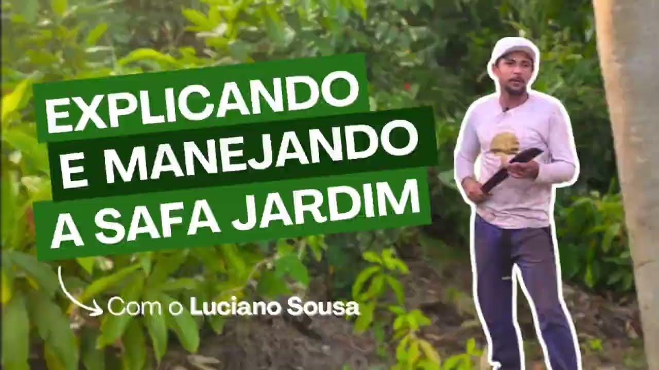 Coringa Agrofloresta: EXPLICANDO E MANEJANDO A SAFA JARDIM