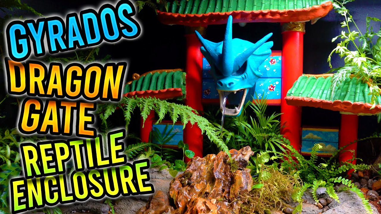 Gyrados Dragon Gate Reptile Enclosure! | 2024 Snake Discovery Build-off