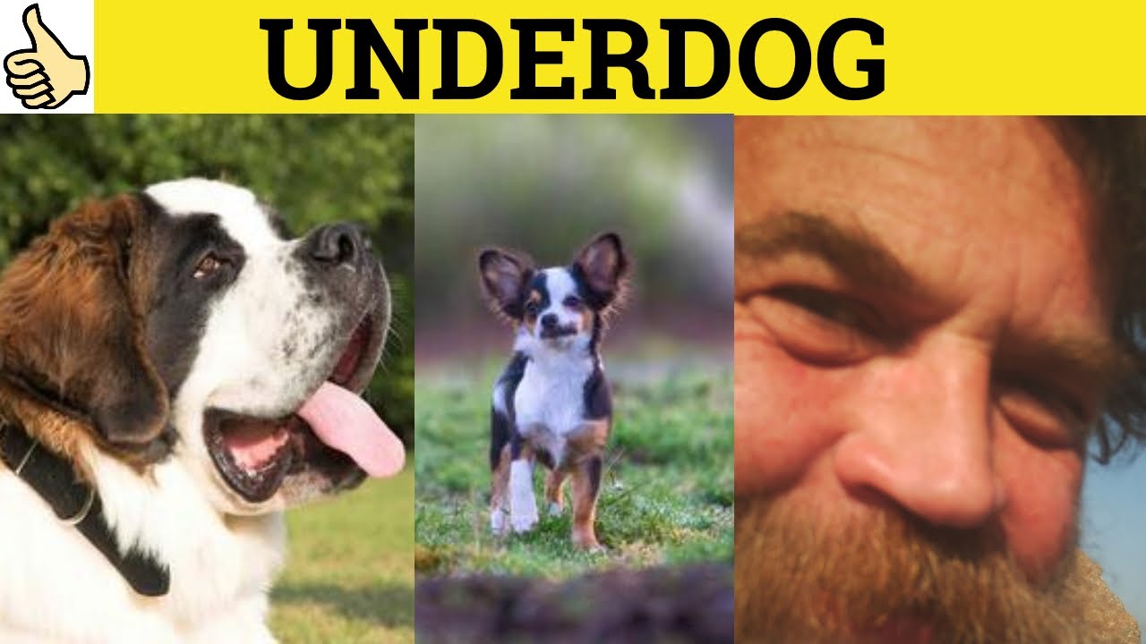 🔵 Underdog  - Underdog Meaning - Underdog Examples - Underdog in a Sentence