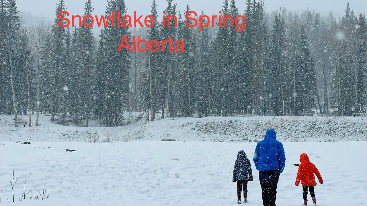 Hiking Snow in Spring  ||  Hiking Elbow  River  Canada