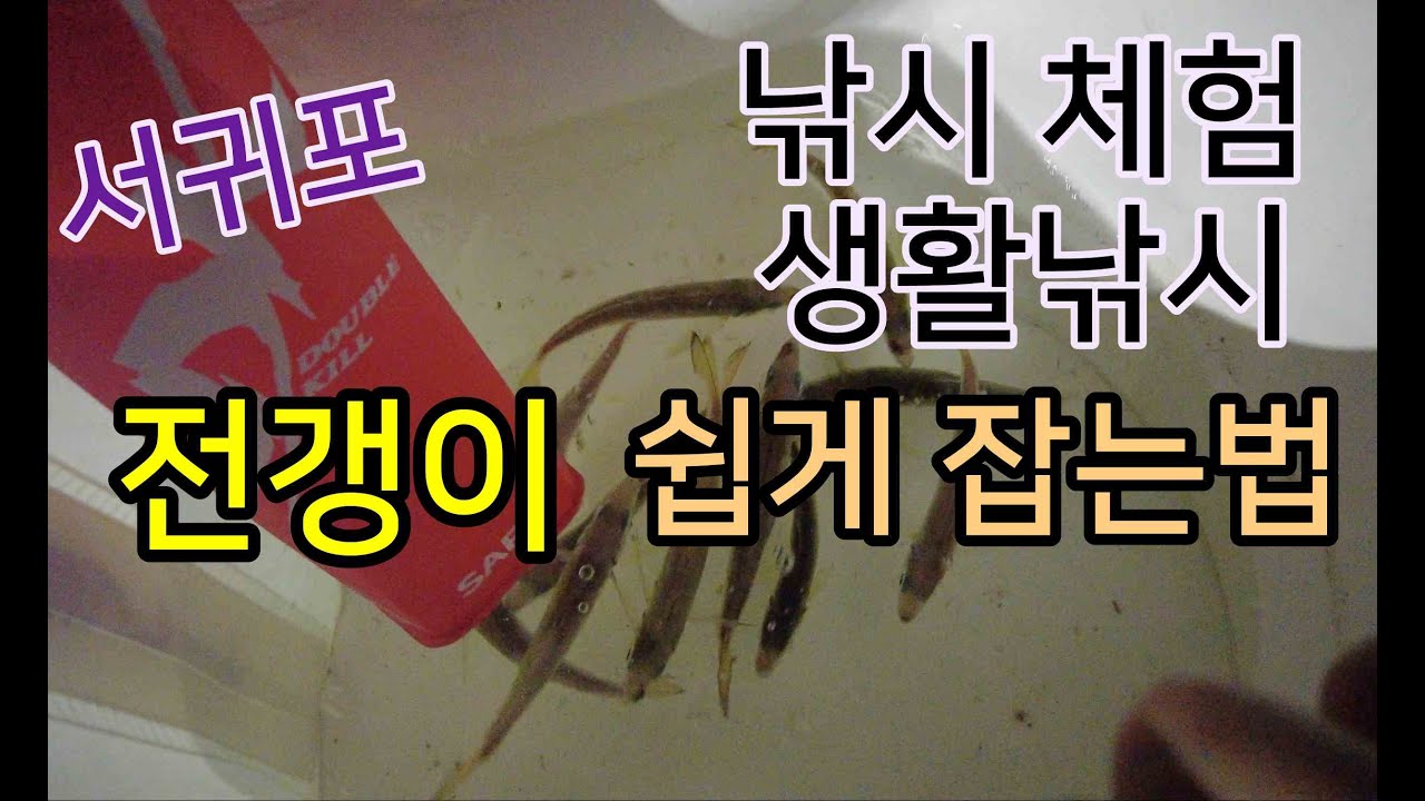전갱이 쉽게 잡기 | 낚시체험 | 제주도 서귀포