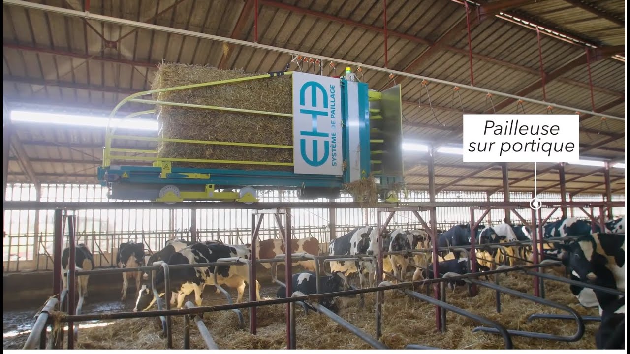 EHB Paillage de Logettes Automatis&eacute; Bovins