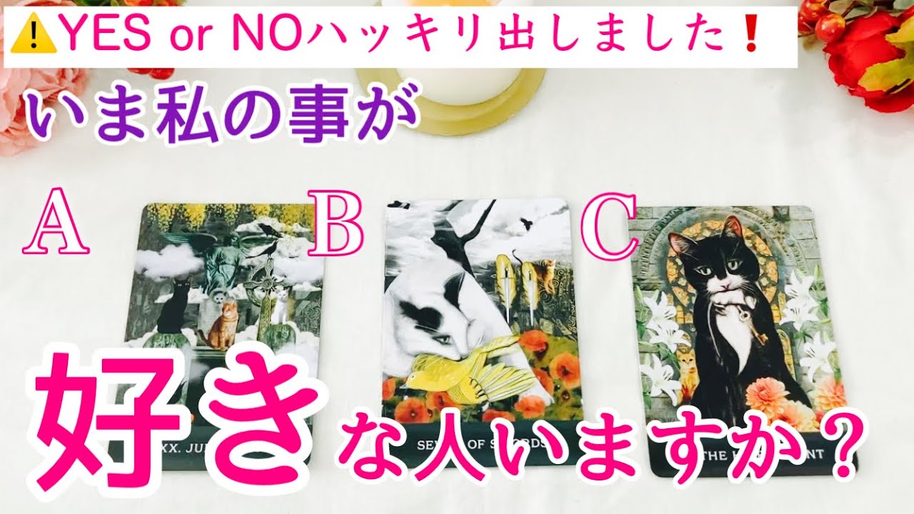 【YES or NO❗️】今私の事が好きな人いますか？🔮モテすぎな選択肢ありました🫣タロット、タロット占い、恋愛