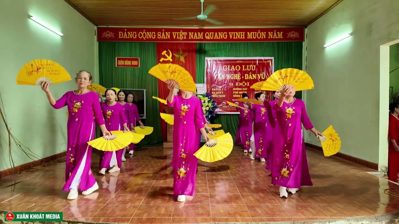 DV thôn đường cat