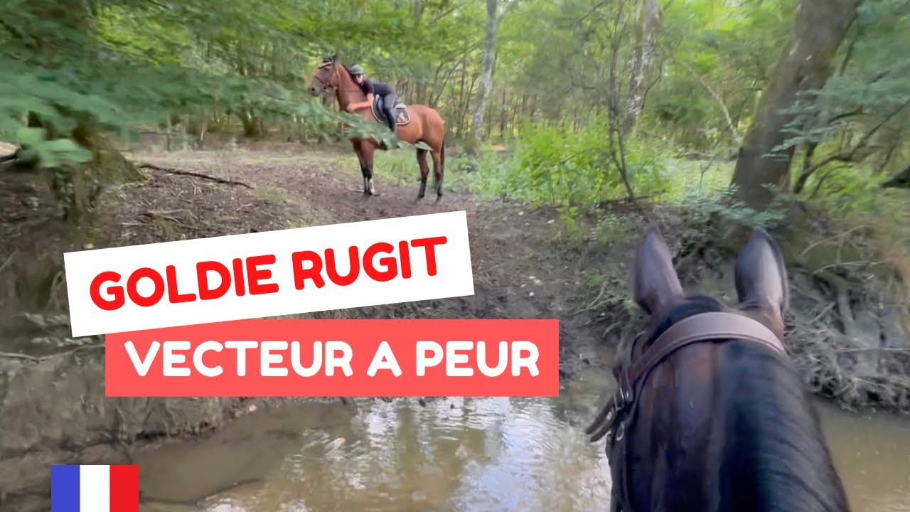 #VLOGMOTTE23 : Les sabots dans l’eau