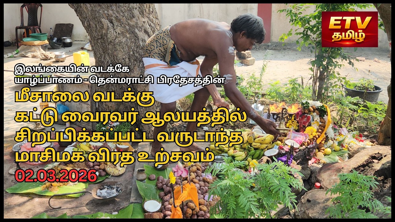 மீசாலை வடக்கு கட்டுவைரவர் ஆலயத்தில் சிறப்பிக்கப்பட்ட வருடாந்த மாசிமக விரத உற்சவம் | KadduVairavar