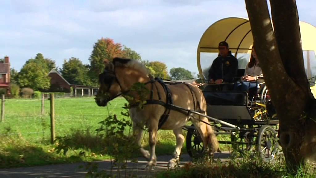 Manege Zandewierde