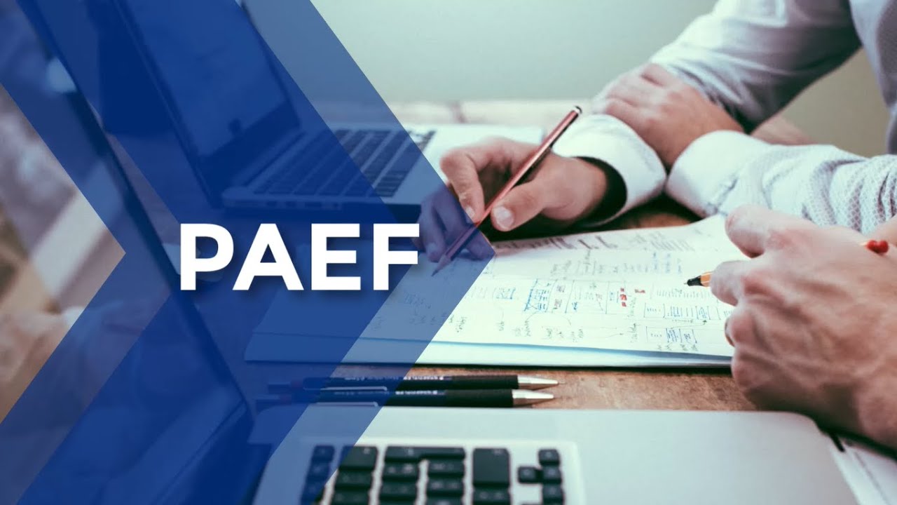 Programa de Apoyo al Empleo Formal PAEF