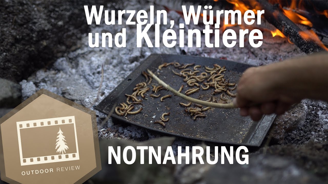 Nahrung aus der Natur / Notnahrung | Outdoor Guide / Wildnisf&uuml;hrer Ausbildung | Outdoor Review
