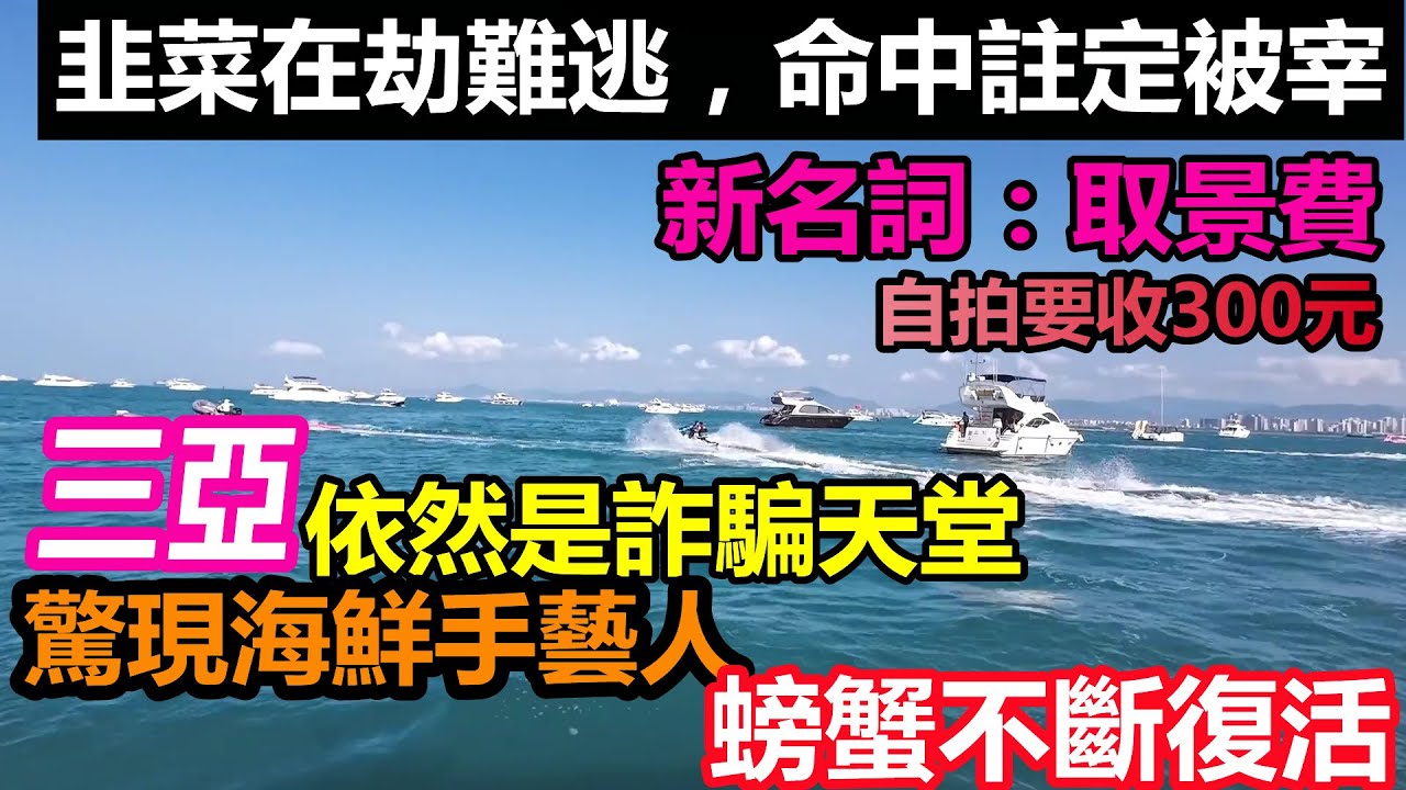 三亞宰客從不收斂，海鮮市場售賣拼接螃蟹驚掉你下巴，沒有一根韭菜成功避坑，做好攻略一樣中招|酒店一房多賣，價低被趕出房間，商家都忙著割一波韭菜#暑假出行#大陸旅遊#出行人數#大陸假期#6月13日