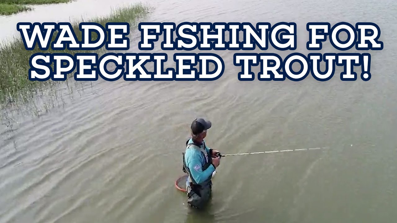 COOL SPECKLED TROUT WADE FISHING VIDEO! Let’s Fish #7 SouthEAST San Luis Pass, Texas speckled trout
