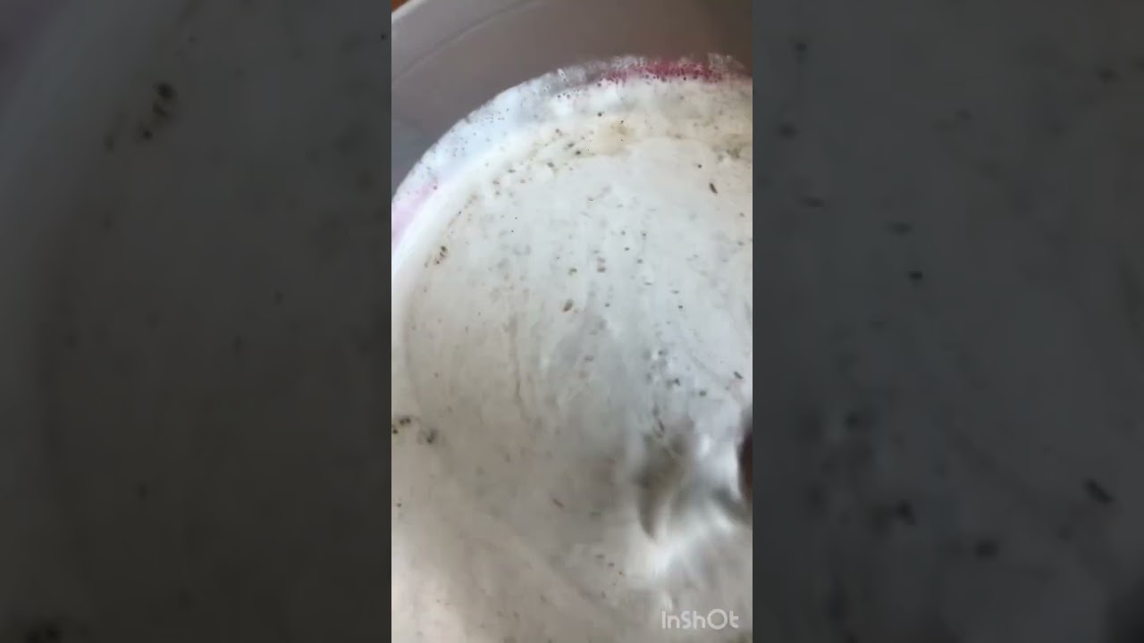How to make vitumbua ( coconut rice balls)