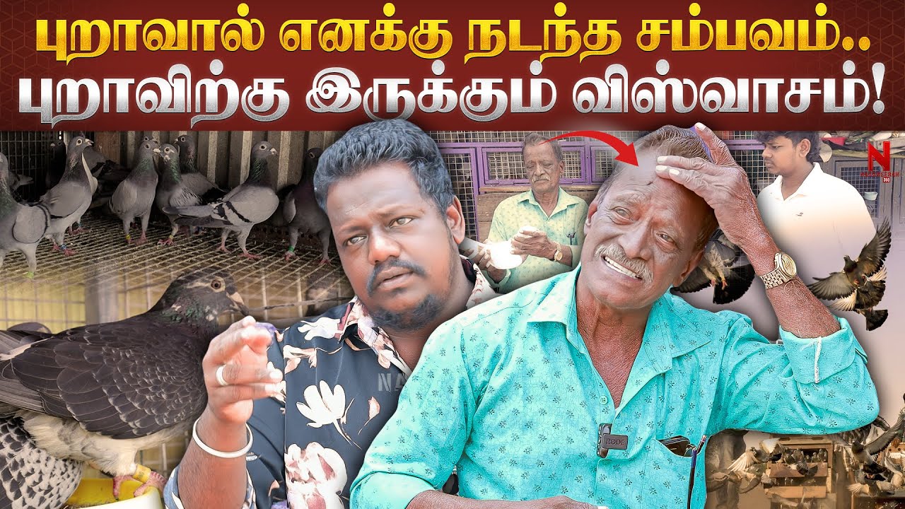 🕊️ 50 வருஷமா 