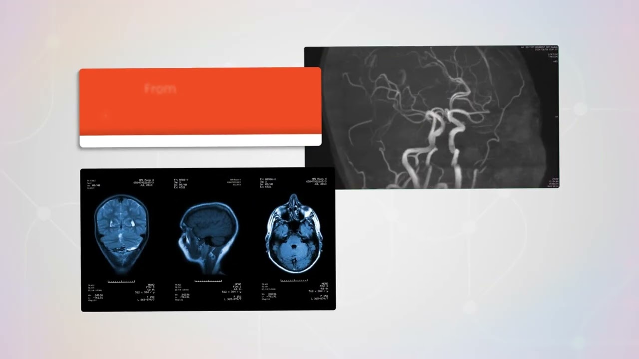 Research Connections | Neuroscience