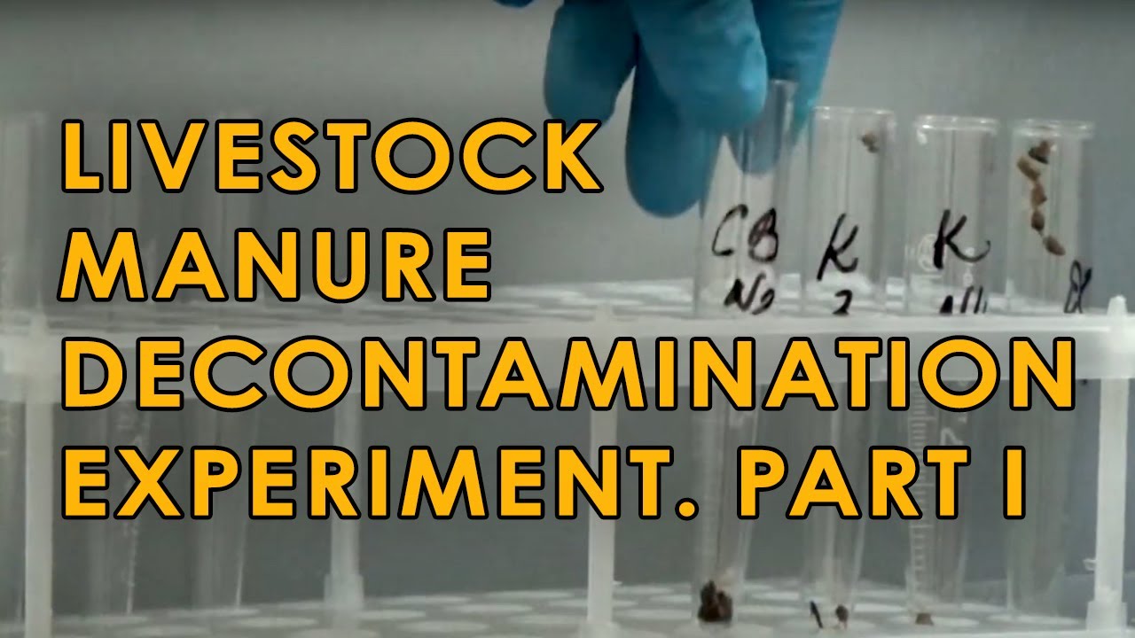 Manure decontamination with electromagnetic vortex layer device