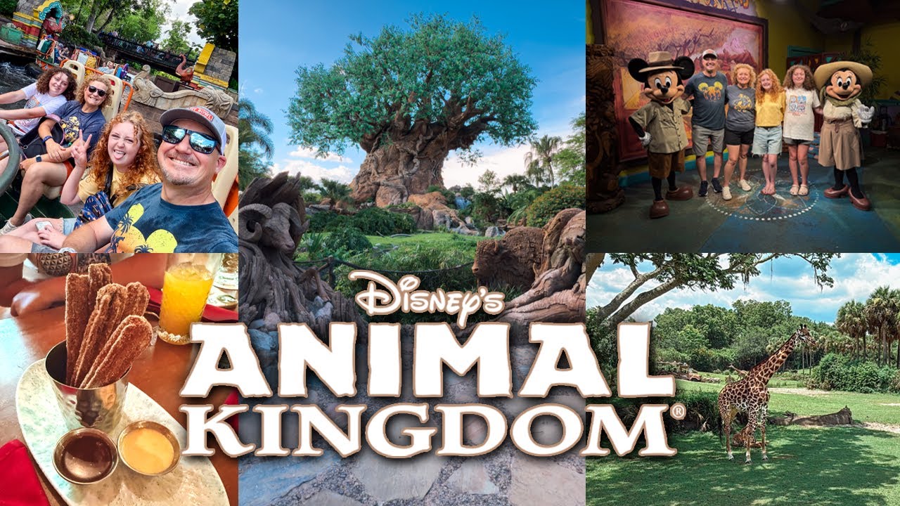 Our Family's Amazing Day at Animal Kingdom! All the Rides, Animals & Disney's Best Churros!