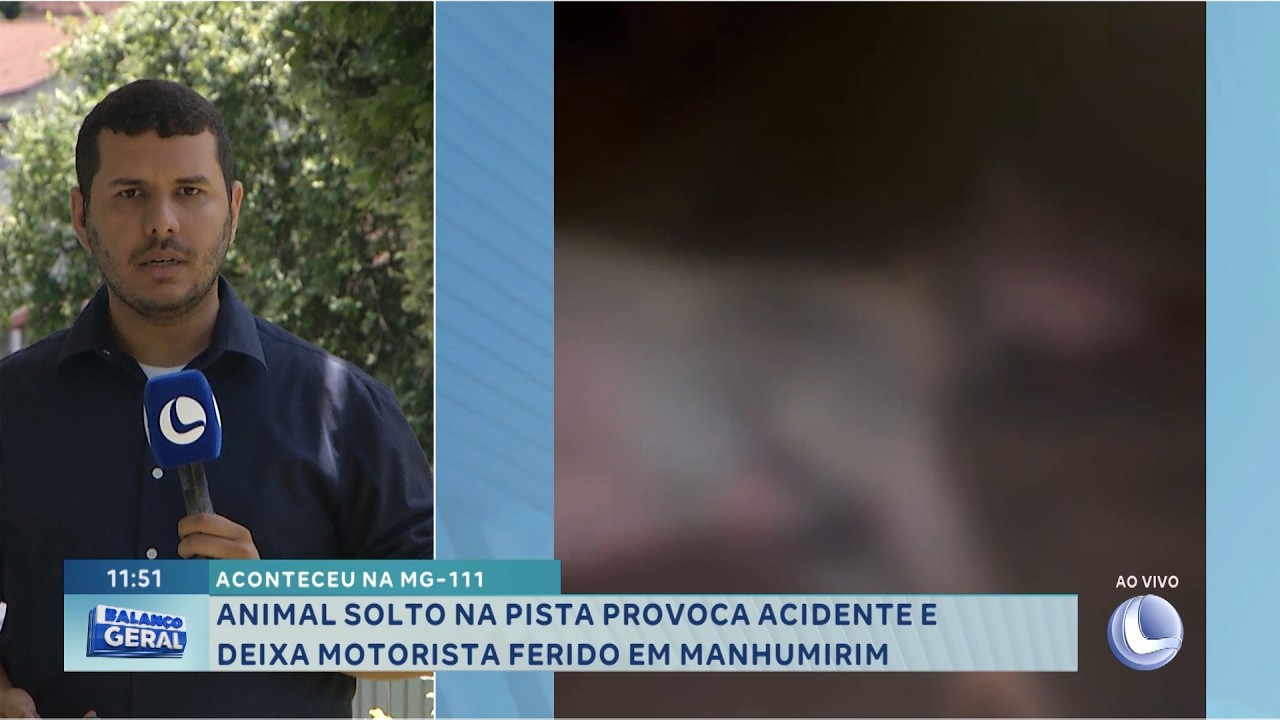 Na MG-111: Animal solto provoca acidente em Manhumirim.
