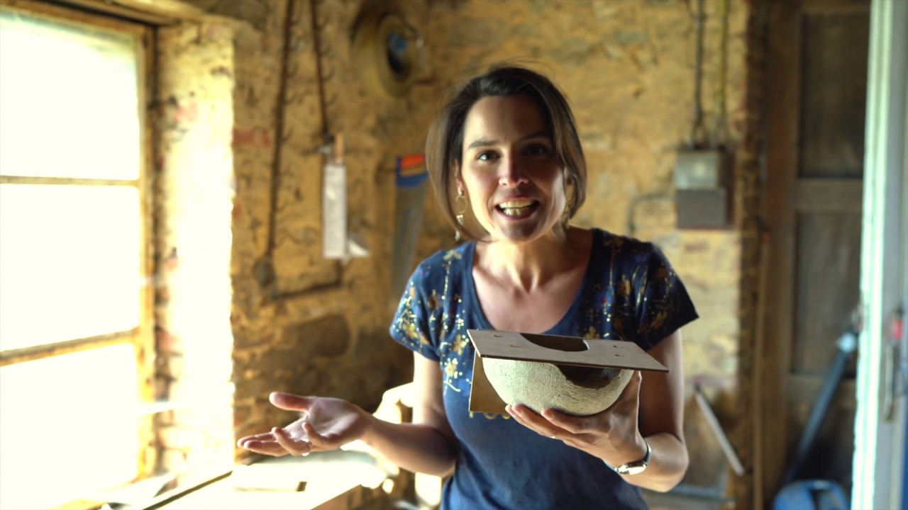 Bienvenue aux hirondelles