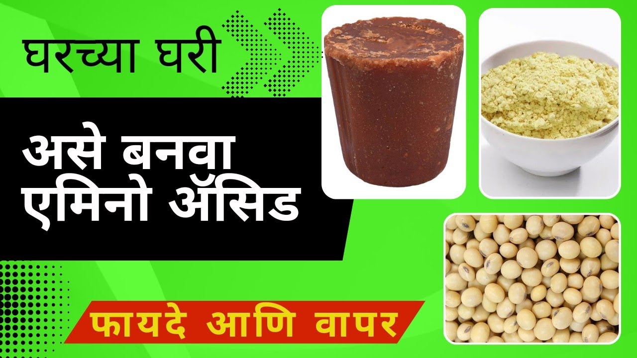 घरच्या घरी अमिनो ऍसिड तयार करण्याची जैविक पद्धत l Amino Acid