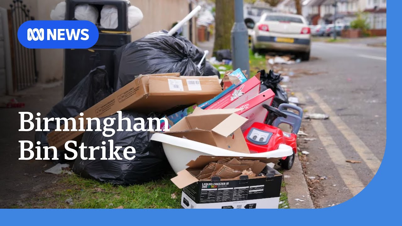 Army called in to clean streets in Birmingham amid bin strike | ABC NEWS