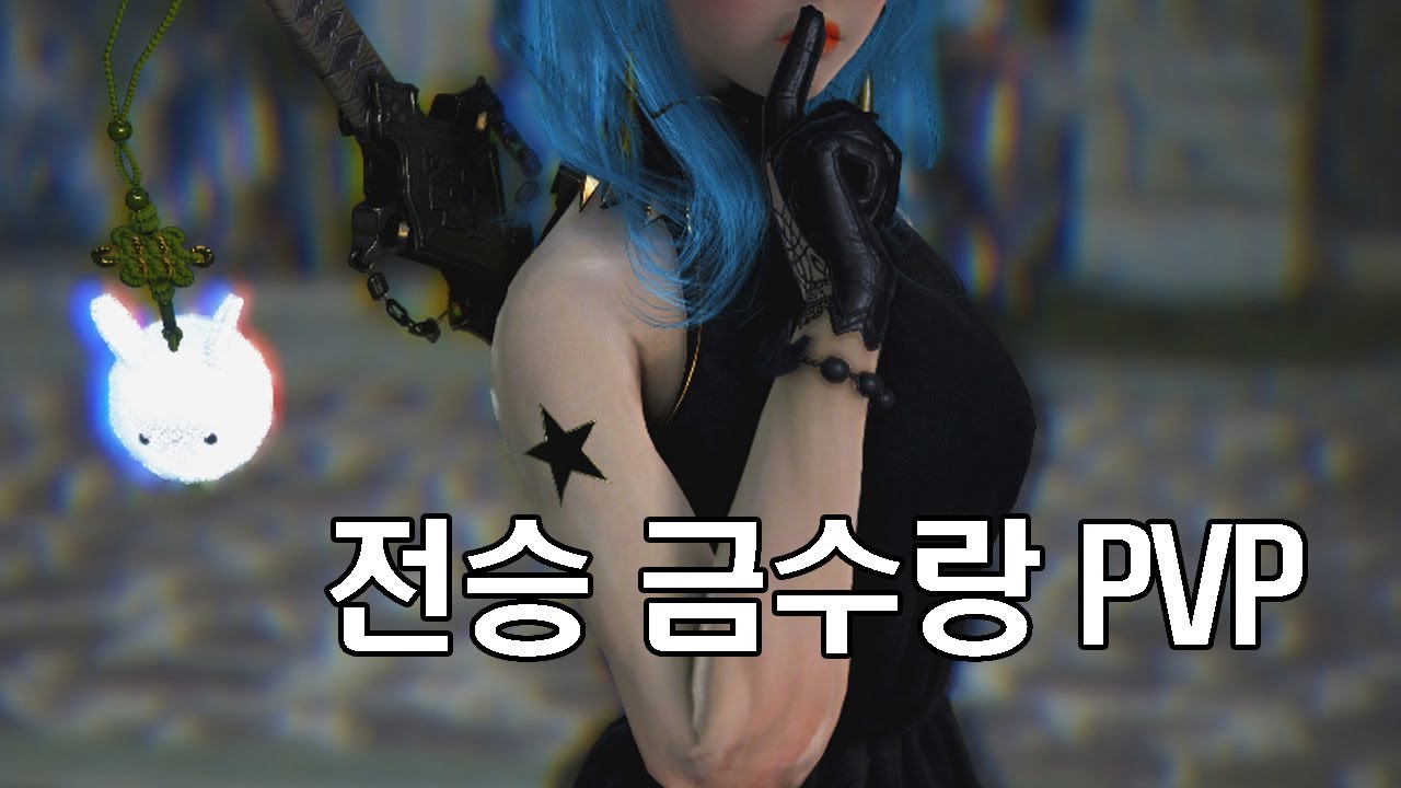 BDO Succession Tamer PVP 전승 금수랑PVP