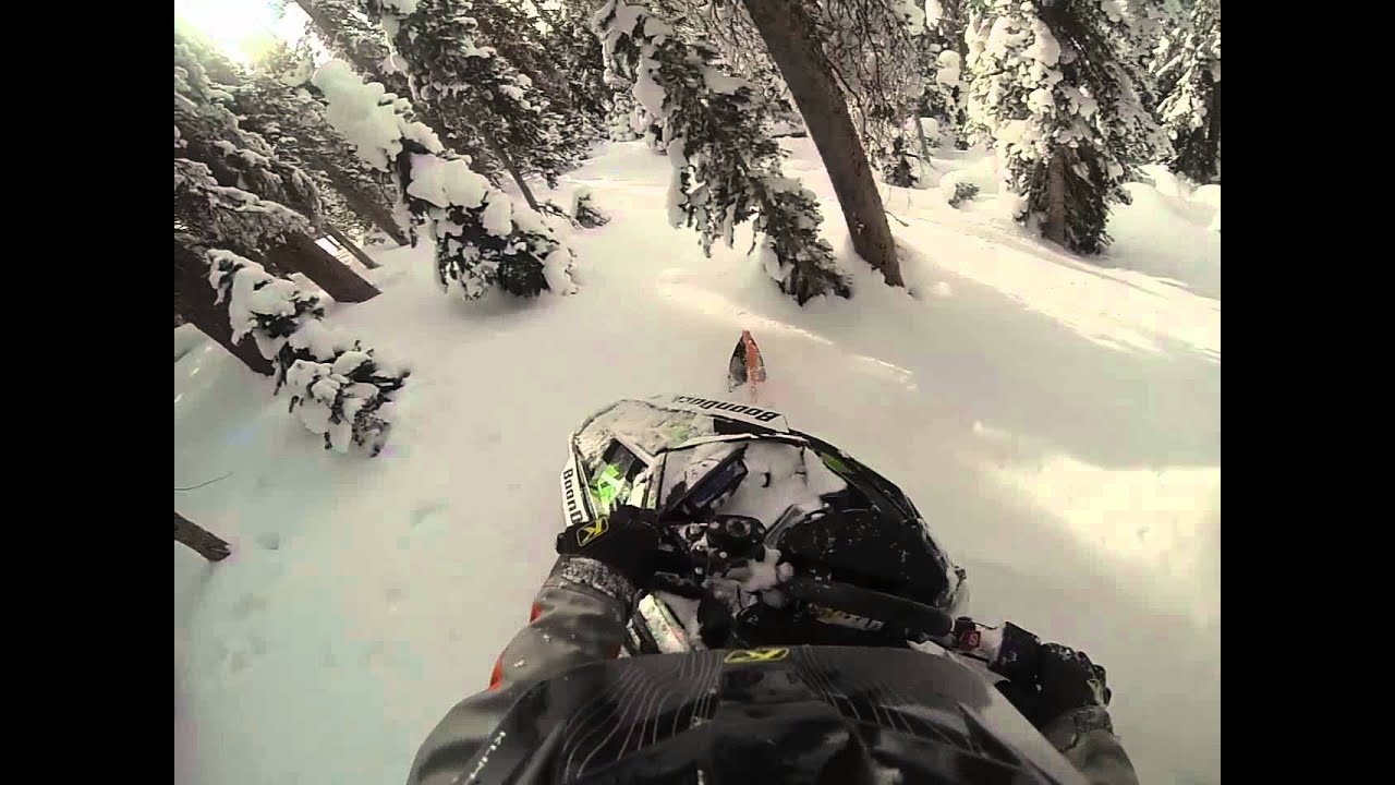 Mountain Skillz December tree riding