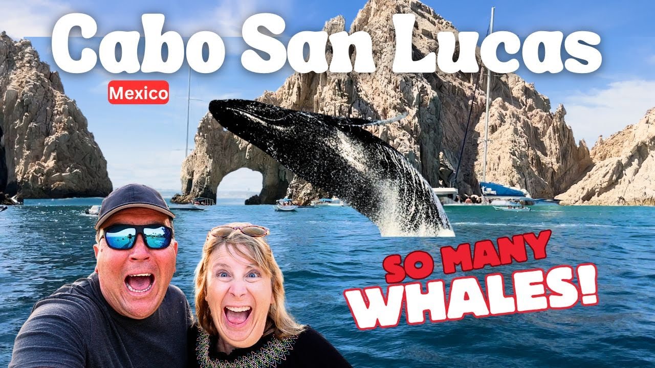 Cabo San Lucas | Humpback Whale Watching | Turtles | Cabo Wabo | Mexican Food | Beautiful Resort