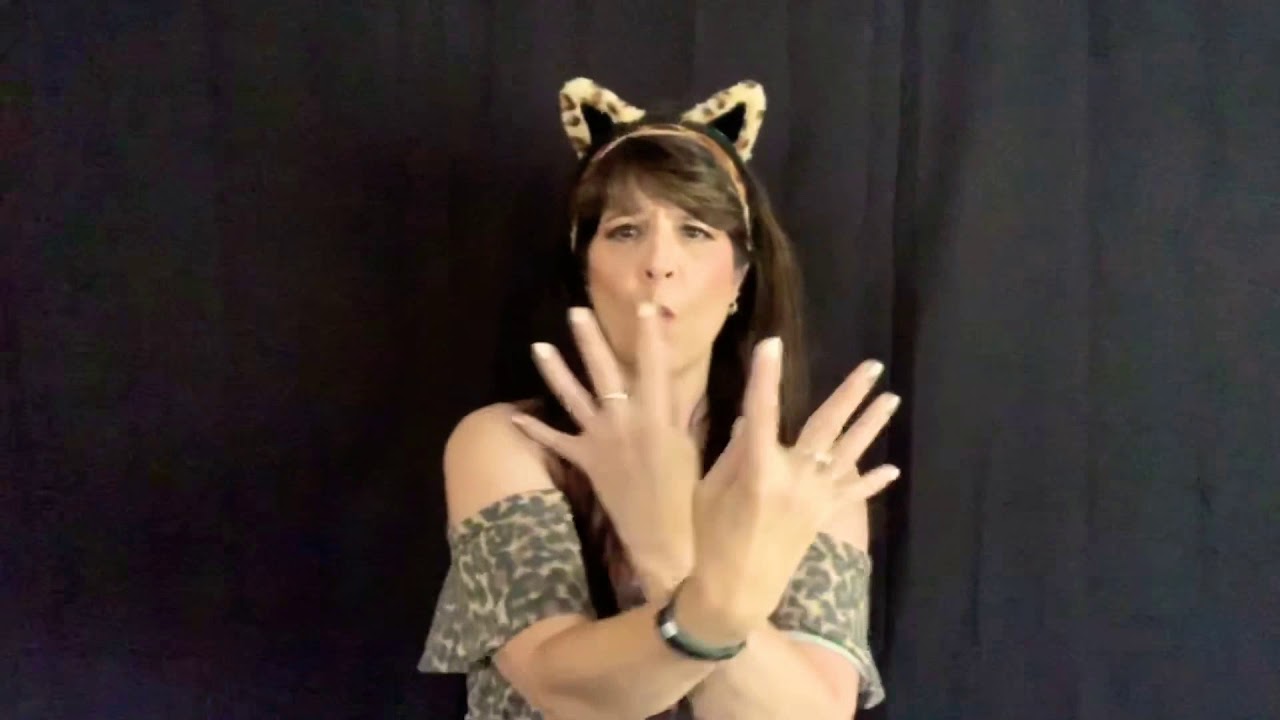Circle of Life - ASL (Disney’s Lion King)
