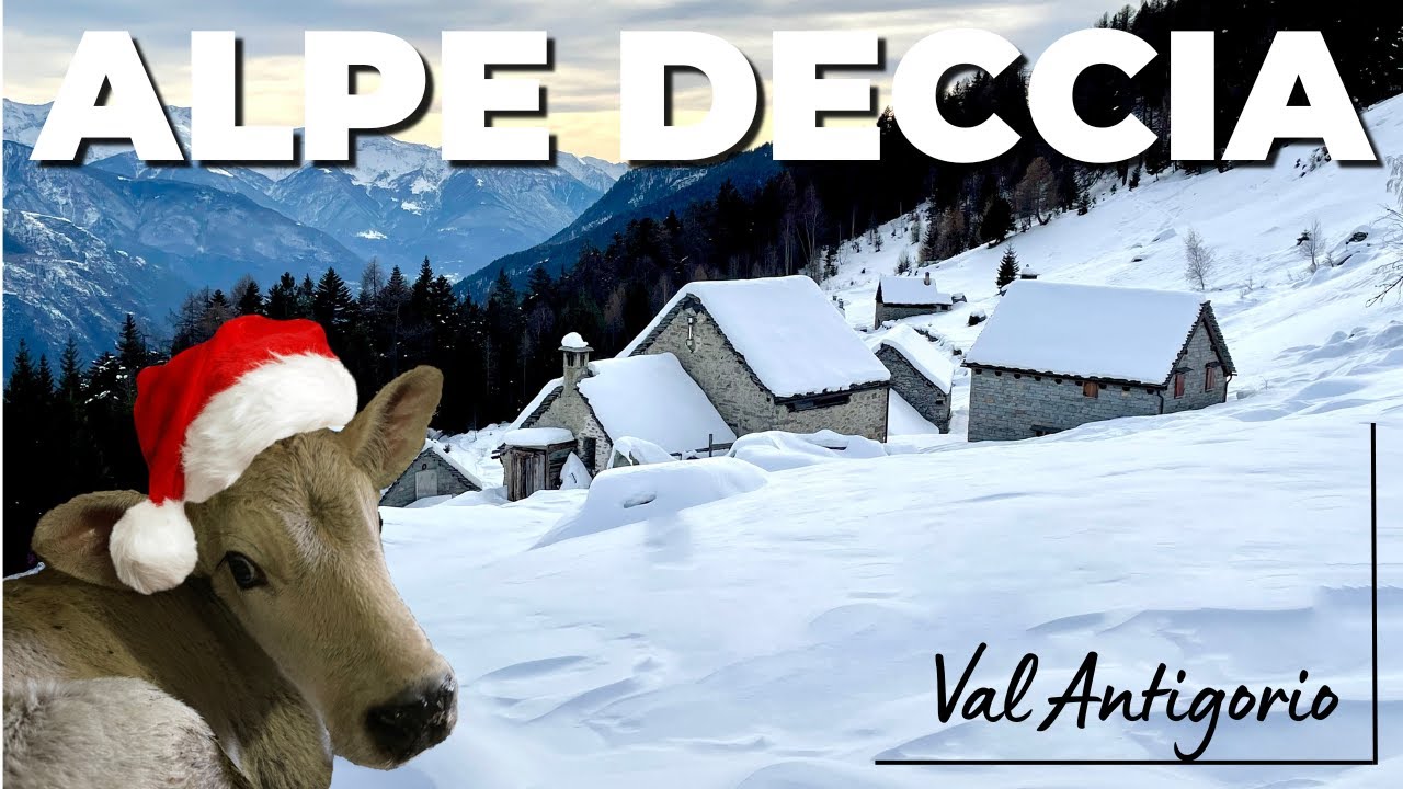 CIASPOLATA in VAL ANTIGORIO. Anello da Viceno all'ALPE DECCIA.Visita ai PRESEPI SULL'ACQUA