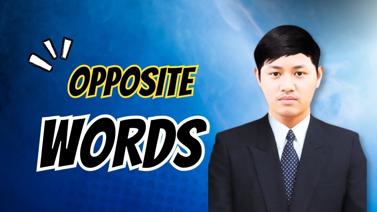 Opposite words