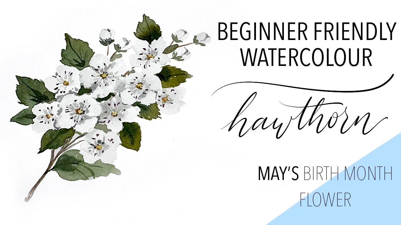 Paint May's Birth Month Flower - Hawthorn