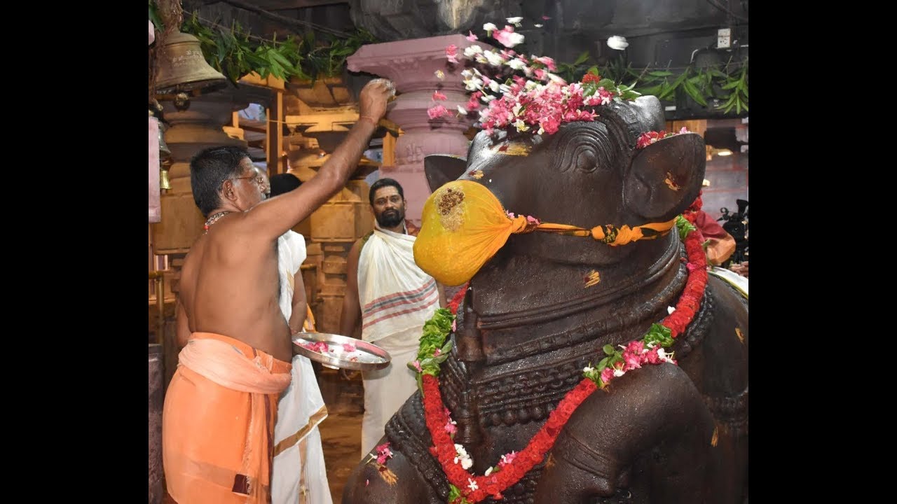 Nandeeshwara Abhishekam in Srisailam,Vizagvision...