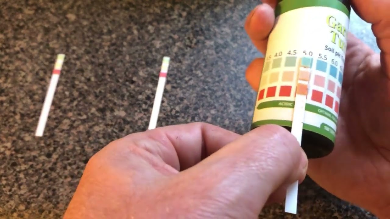 Testing The PH Of Some Common Blueberry Soil Amendments Coffee Grounds, Vinegar & Lemon Water