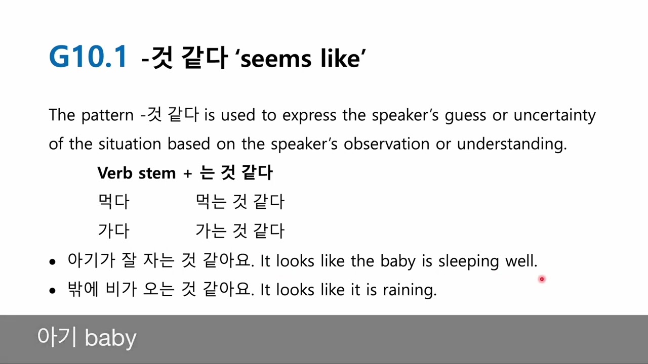 G10.1 -것 같다 seems like