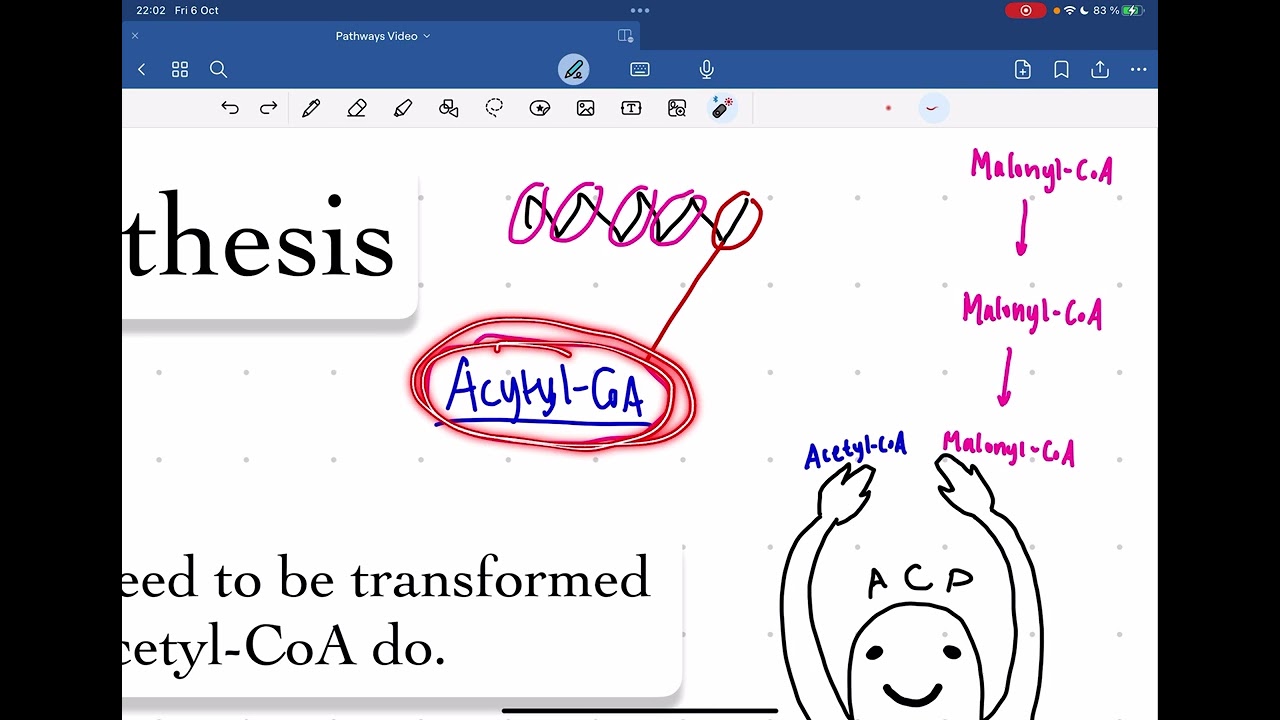 Lipid Synthesis and Urea Cycle (Basics of Biochemistry Part 2/2 Col 3) - Nadia Aldaher