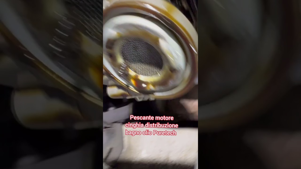 Pescante motore PureTech con cinghia distribuzione bagno olio problemi coppa olio
