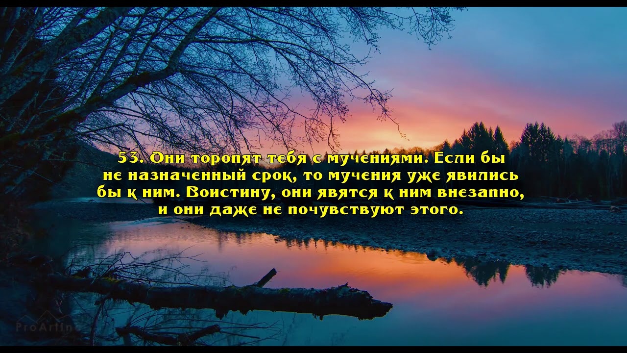 Саид Дубаха. Сура 