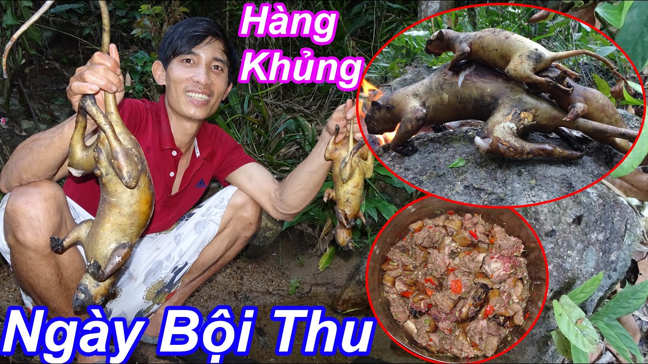 Ngày Bội Thu, Kiếm Tiền Trong Rừng, Cuộc Sống Hoang Dã, Săn Mật Ong Rừng - KÝ SỰ ONG RỪNG 2022 - T25