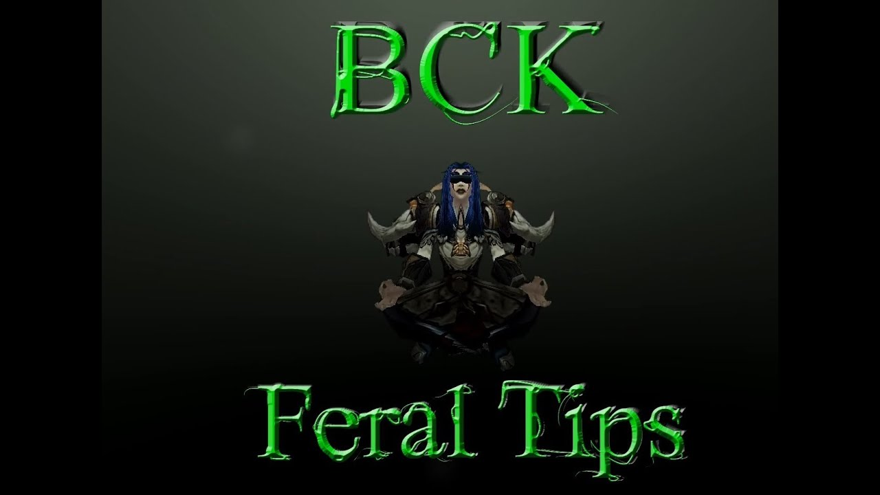 BCK's Feral Tips and Tricks Pt.1 Latency, Settings and Macro's