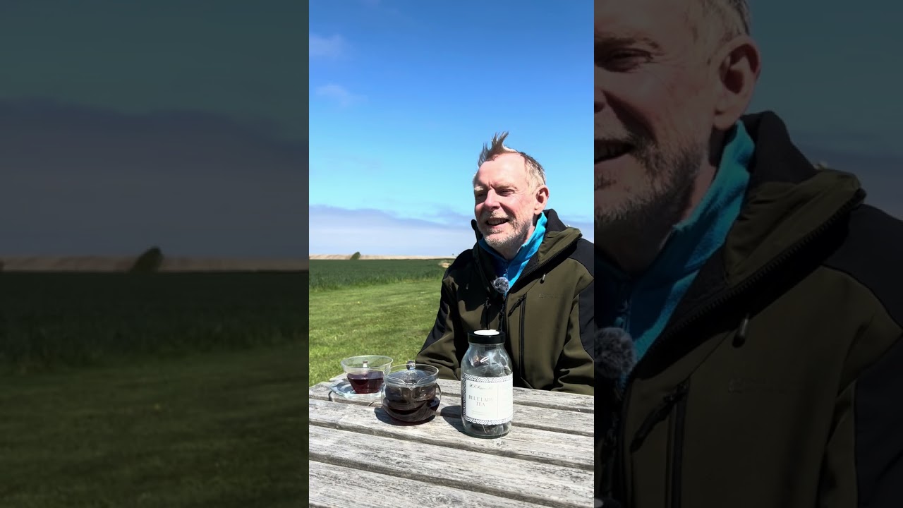 A Conversation in the Garden: David Higgins on Tea