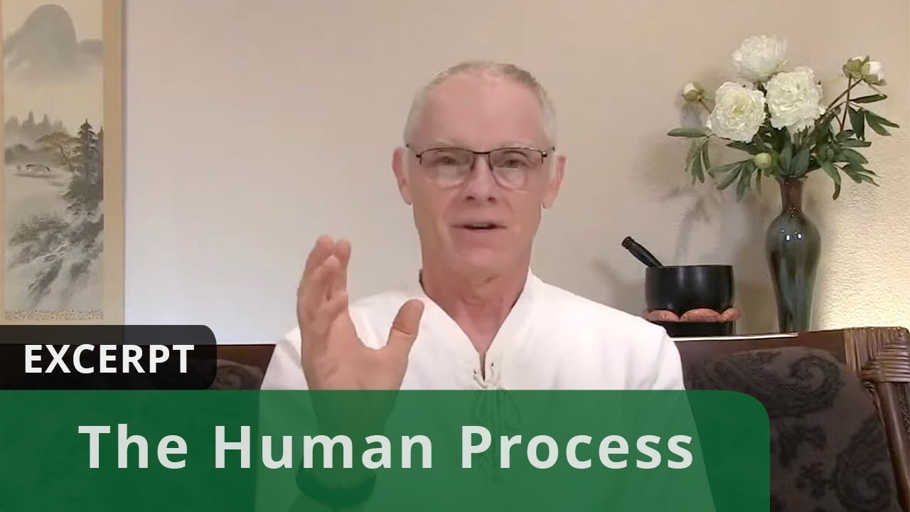The Human Process (Excerpt)