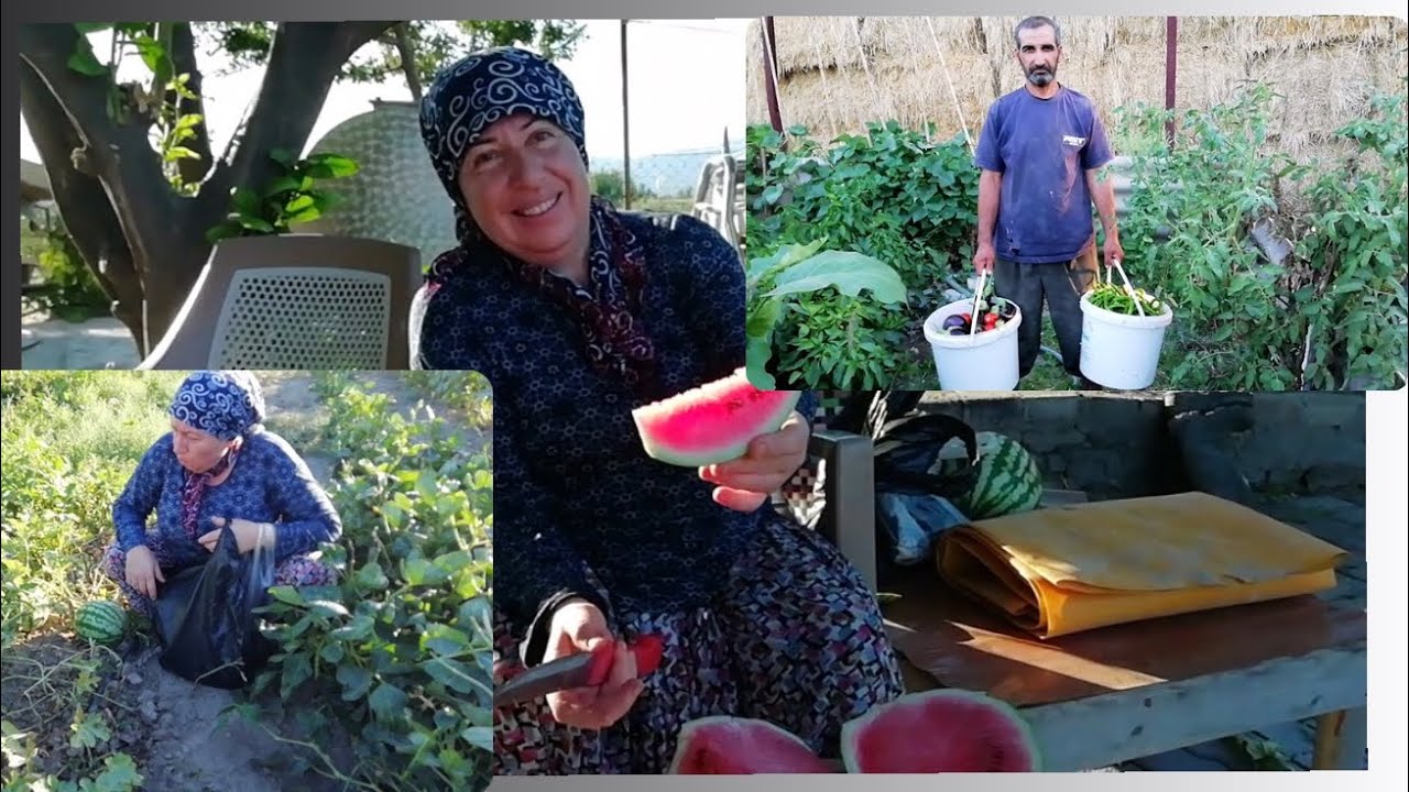 Yanmış (Çürütülmüş) Hayvan Gübresiyle Sebze Nasıl Yetiştirilir