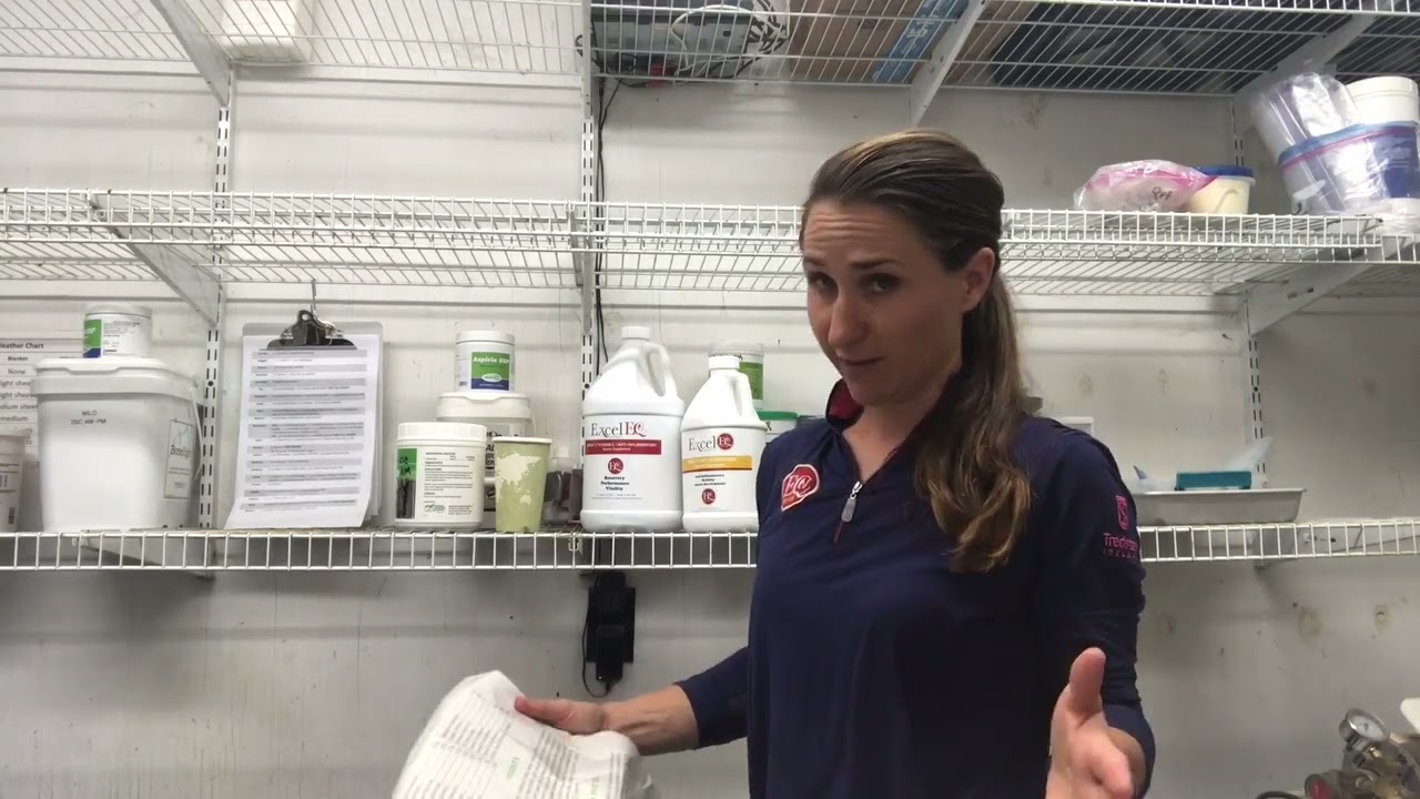 The Importance of Vitamin E in Horse Health - Dr. Vargas Explains