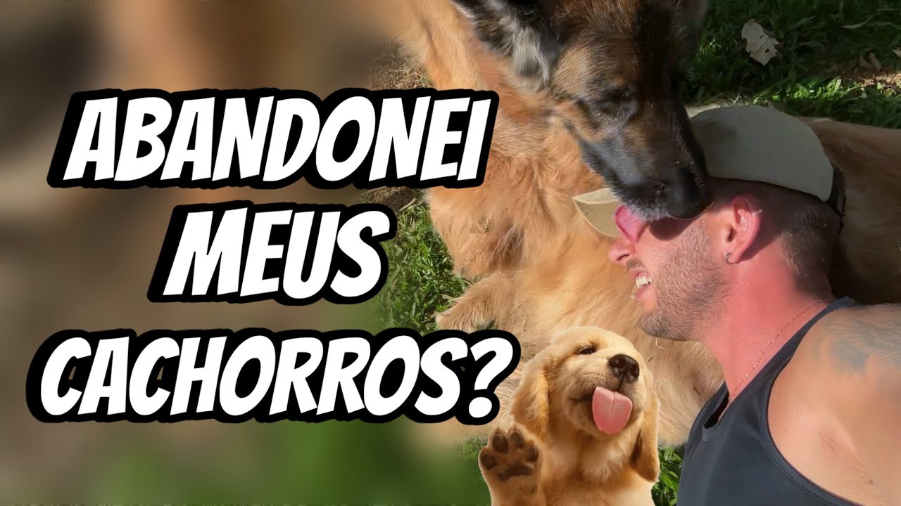 AMEA&Ccedil;ARAM me DENUNCIAR 🤭 | Henrique Buttler